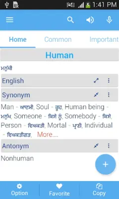 Punjabi Dictionary Multifuncti android App screenshot 6